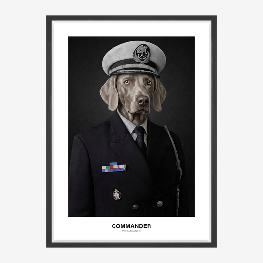 Admiral Commander Pet Portrait