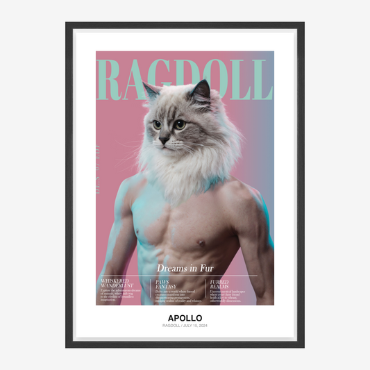 Alfa kočičí fitness magazín Portrét mazlíčka