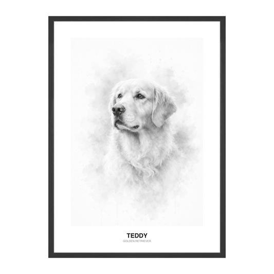 Lyst & Luftig Svart-Hvitt Pet Portrait