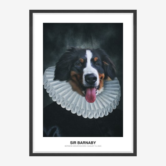 Elizabethan Courtier Kæledyrsportræt