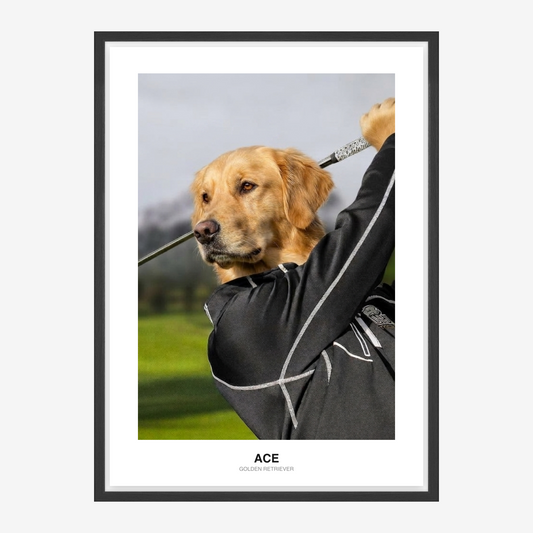Fairway Legend Kæledyrsportræt