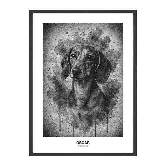 Filmkorn Svart-Hvitt Pet Portrait