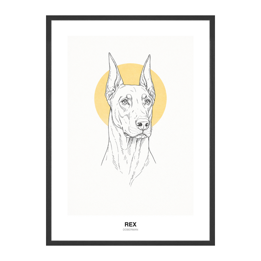 Fin Strek med Sol Pet Portrait
