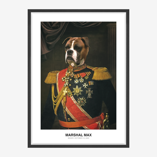 Grand Marshal Boxer Kæledyrsportræt