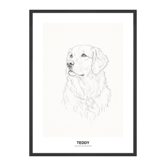 Hårfin Sort Fin Strek Pet Portrait