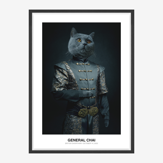 Imperial Dynasty Warrior Pet Portrait