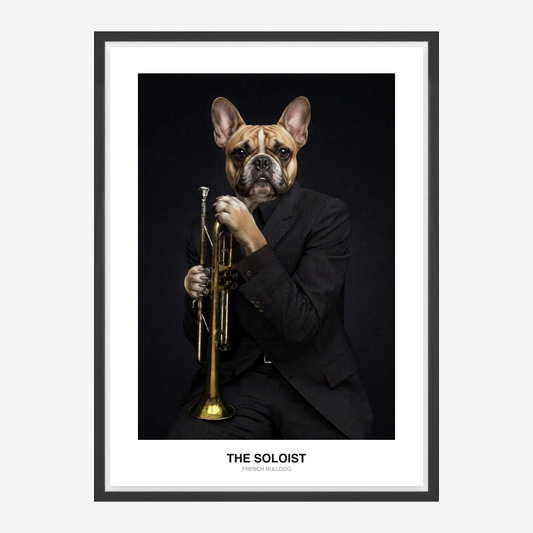 Půlnoční jazzman – portrét mazlíčka