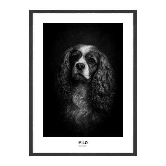 Náladová viněta černobílý Pet Portrait