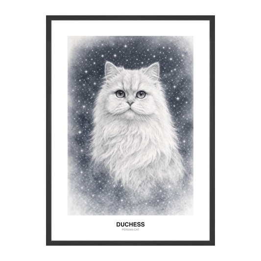 Pencil Constellation Sketch Pet Portrait