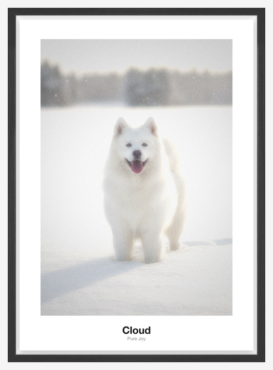 Mlha Fotoplakát — Mrak