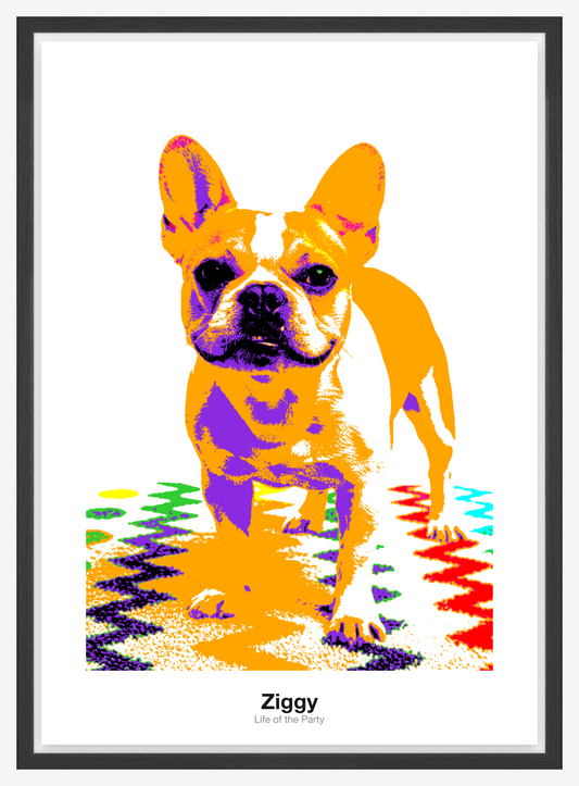 Pop Art Fotoplakát — Ziggy