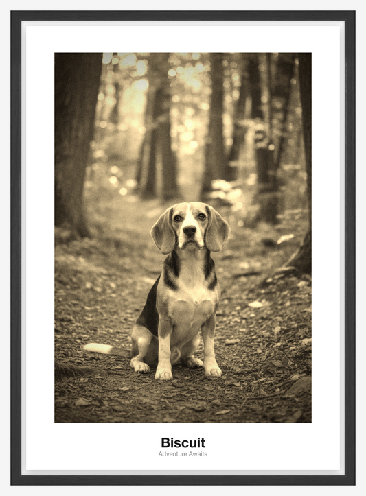 Vintage Fotoplakát — Biscuit
