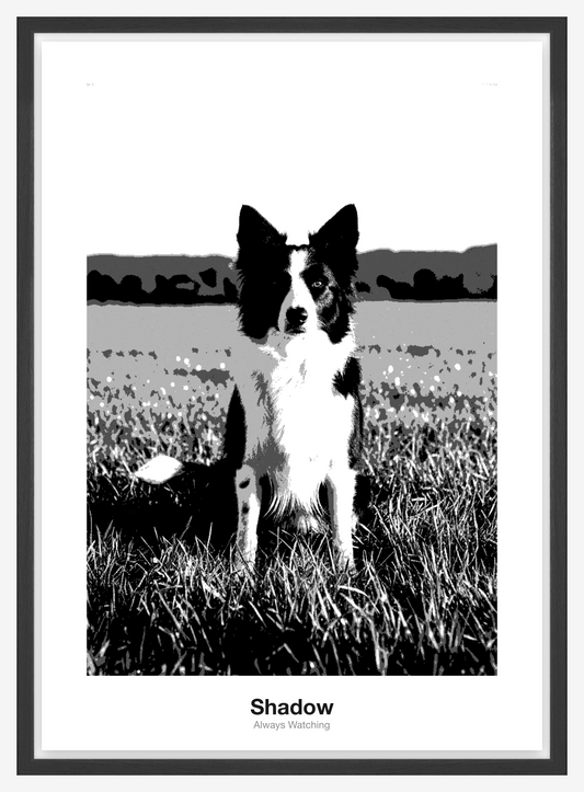 Šablonový Fotoplakát — Stín