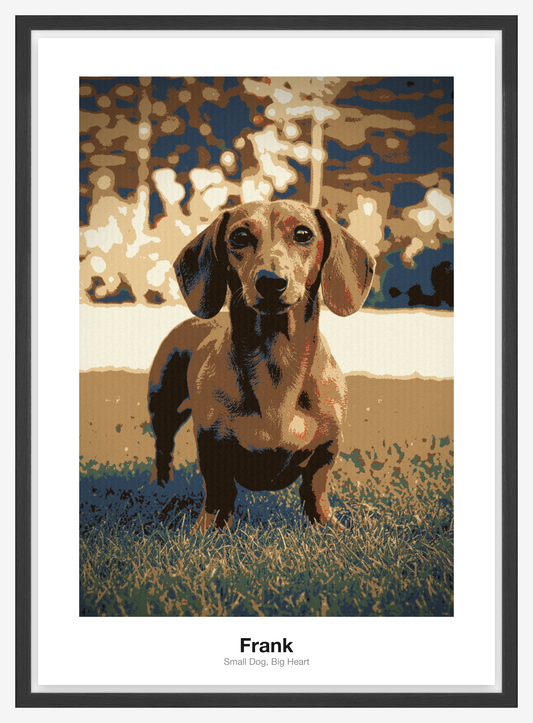 Retro Fotoplakát — Frank