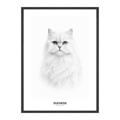 Pure White Minimal Black & White Pet Portrait