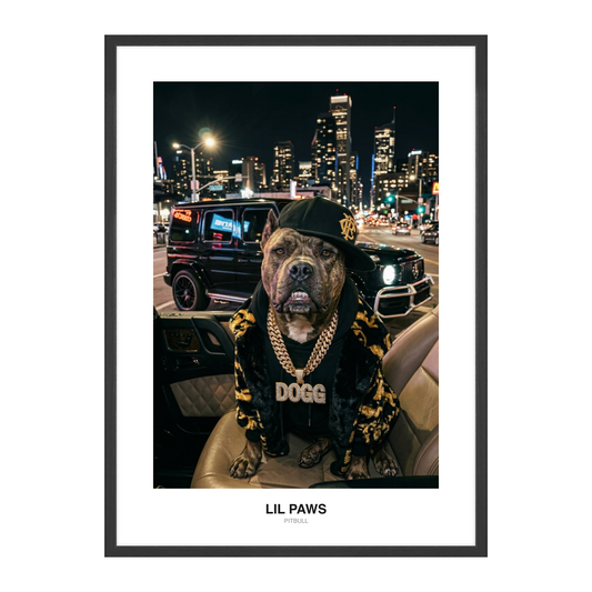 Rapper Bling Pet Portrait