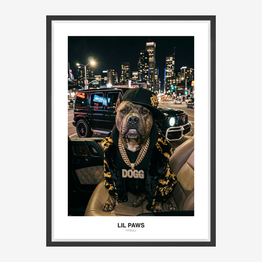 Rapper Bling Pet Portrait