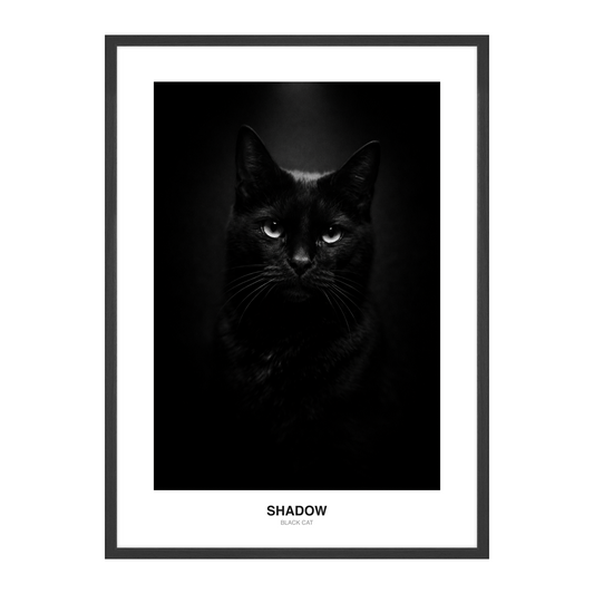 Mykt Spotlight Svart-Hvitt Pet Portrait