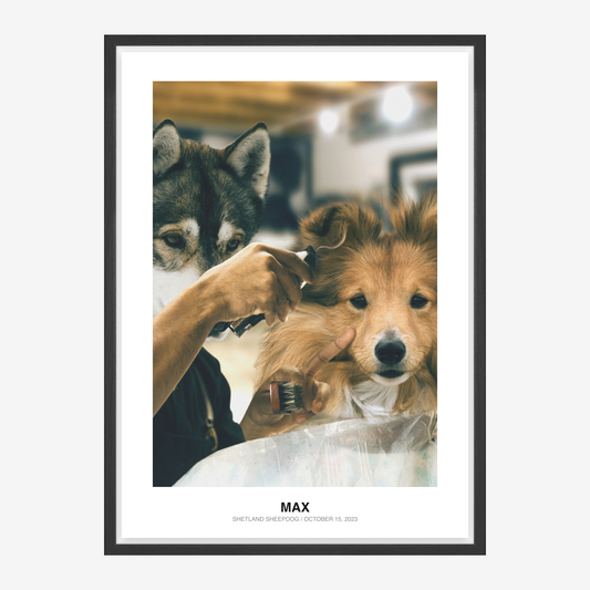The Master Barber Pet Portrait
